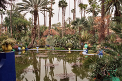 jardin Majorelle